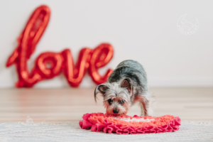 mata węchowa dla psa BE MY VALENTINE