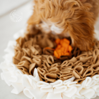 jesienna mata węchowa dla psa