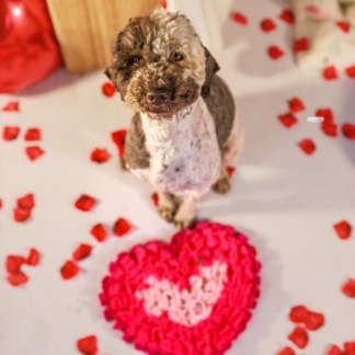 Mata węchowa dla psa BE MY VALENTINE w kształcie serca