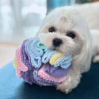 Kula węchowa dla psa PASTELOVE