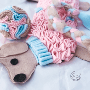 mata węchowa jamniczek