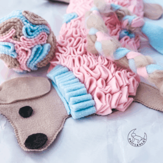 mata węchowa jamniczek