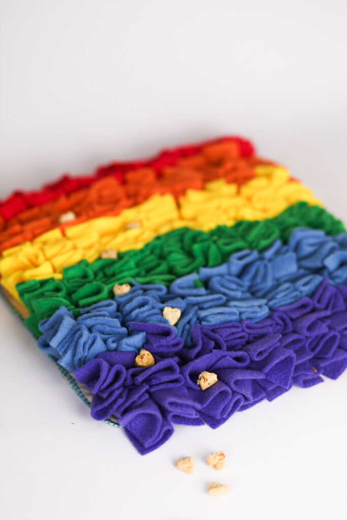 mata węchowa dla psa Psiulkolot