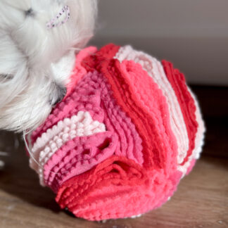 Personalizowana kula węchowa dla psa (4 kolory)