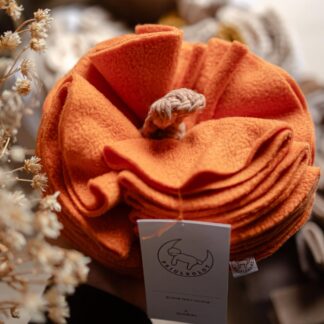 Kula węchowa dla psa DYNIA – jesienna zabawka interaktywna