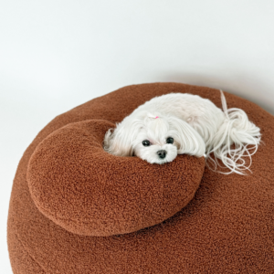 poduszka dla psa MOON w kształcie księżyca