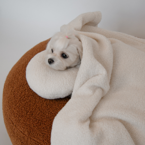 zestaw akcesoriów do spania dla psa COMFY SET