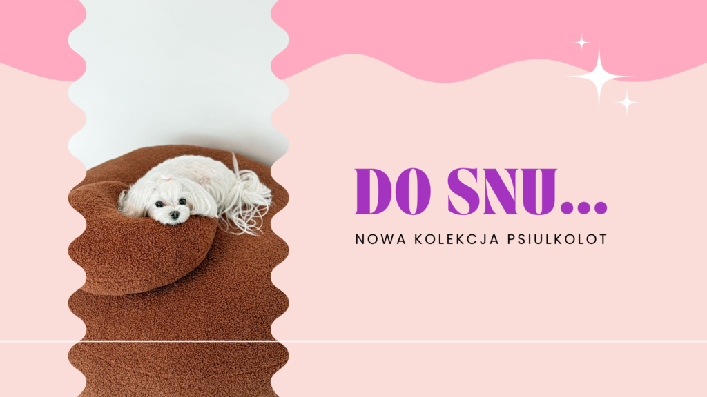 kolekcja do snu dla psa